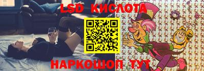 бошки Будённовск