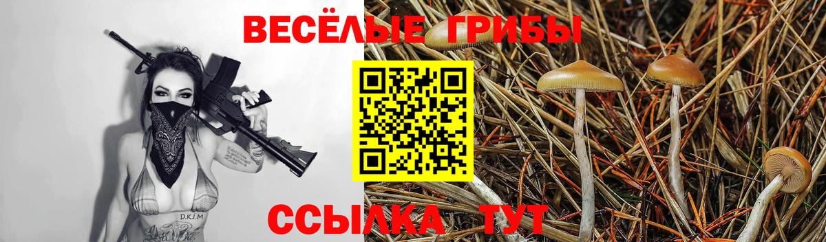 Калининград  дарнет шоп  Вход с VPN  Псилоцибиновые грибы прущие грибы  Псилоцибиновые грибы ЛСД 